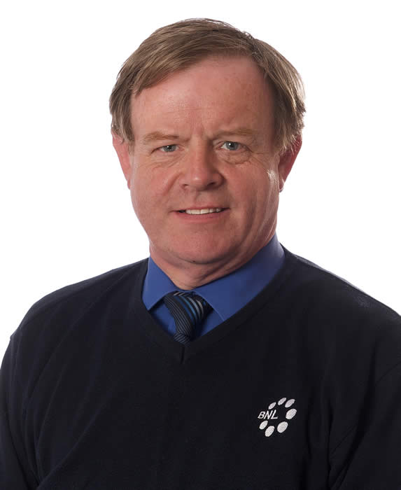 Senior Projects Engineer